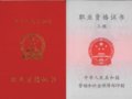 电子商务师职业介绍