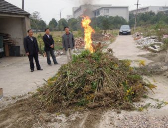我院铲除外来入侵生物“加拿大一枝黄花”工作顺利结束