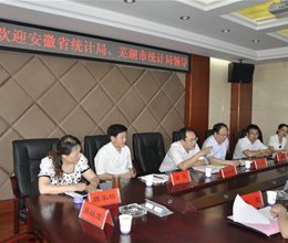 安徽省统计局一行来我院调研