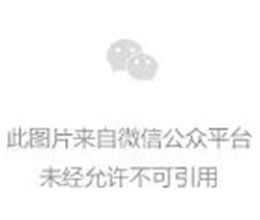 林夕：仰望到太高贬低的只有自己