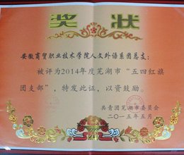 我系团总支荣获“芜湖市五四红旗团支部（总支）”荣誉称号