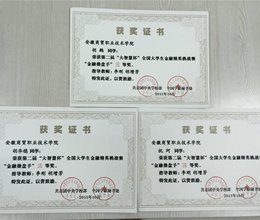 我院学子在第二届“大智慧杯”全国大学生金融精英挑战赛中获佳绩