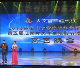 学院参加2015芜湖市大学生嘉年华闭幕式