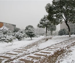 校园雪景二