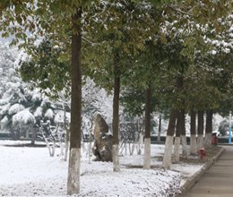 校园雪景三