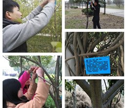 拥抱春天，播种绿色——学院开展3.12植树节系列活动
