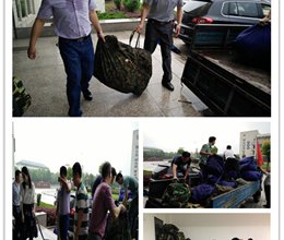 以行动践行“两学一做”学习教育的要求——行政第三党支部参与抗洪物资捐赠志愿活动