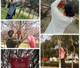 汇聚青春 “绿”动校园——学校组织开展植树节系列活动
