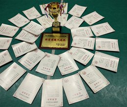 我校代表队获得2017年安徽省大学生羽毛球比赛团体总分一等奖