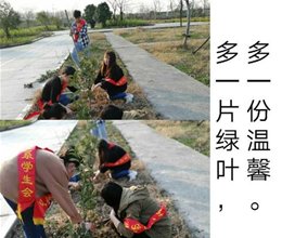 财务金融系开展义务植树活动