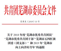 我系团总支喜获2018年度“芜湖市五四红旗团支部”称号