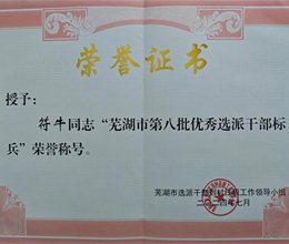 我校符牛同志荣获“芜湖市第八批优秀选派干部标兵”称号